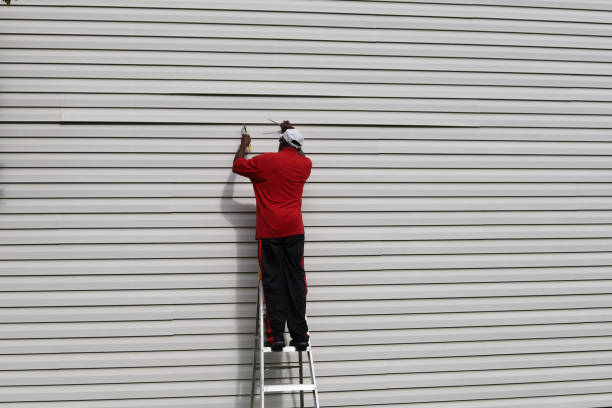 Best Fascia and Soffit Installation  in Saint Johns University, MN